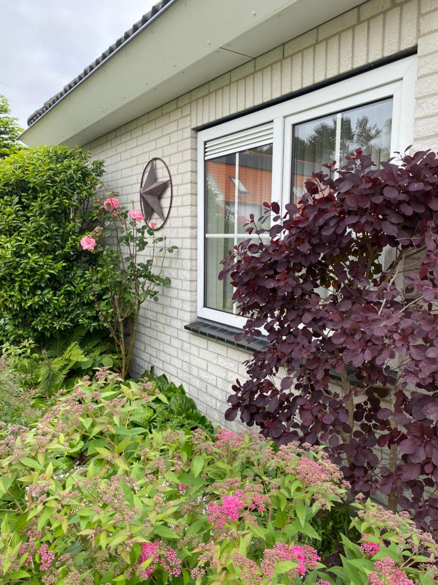 Lonestar Appartement Burgh-Haamstede Exterior foto
